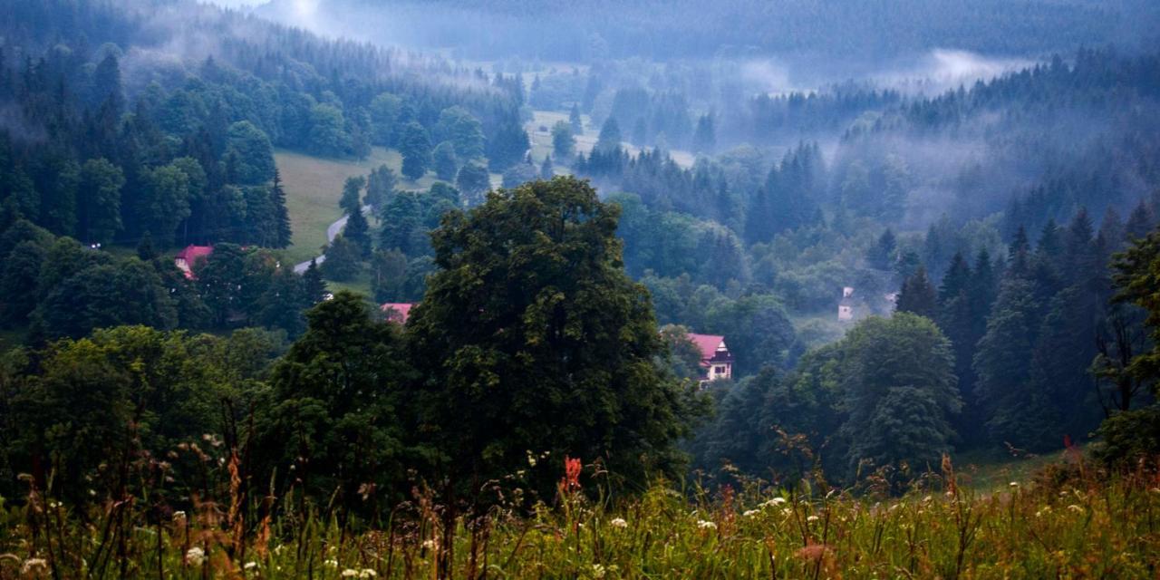 Hotel Gorski Czarna Gora Stronie Śląskie Екстериор снимка