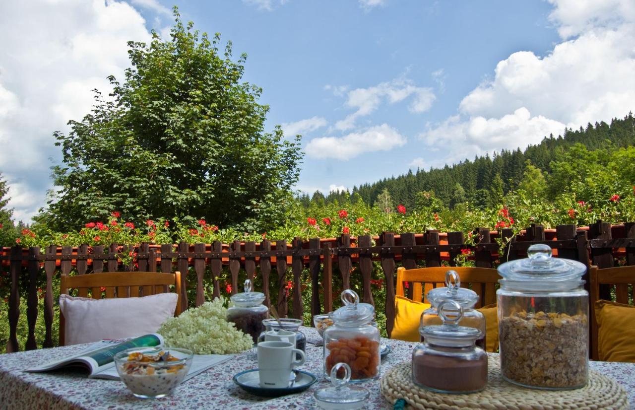 Hotel Gorski Czarna Gora Stronie Śląskie Екстериор снимка