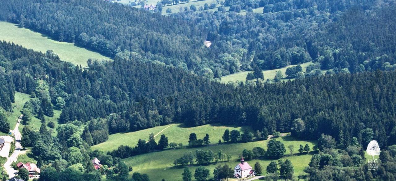 Hotel Gorski Czarna Gora Stronie Śląskie Екстериор снимка