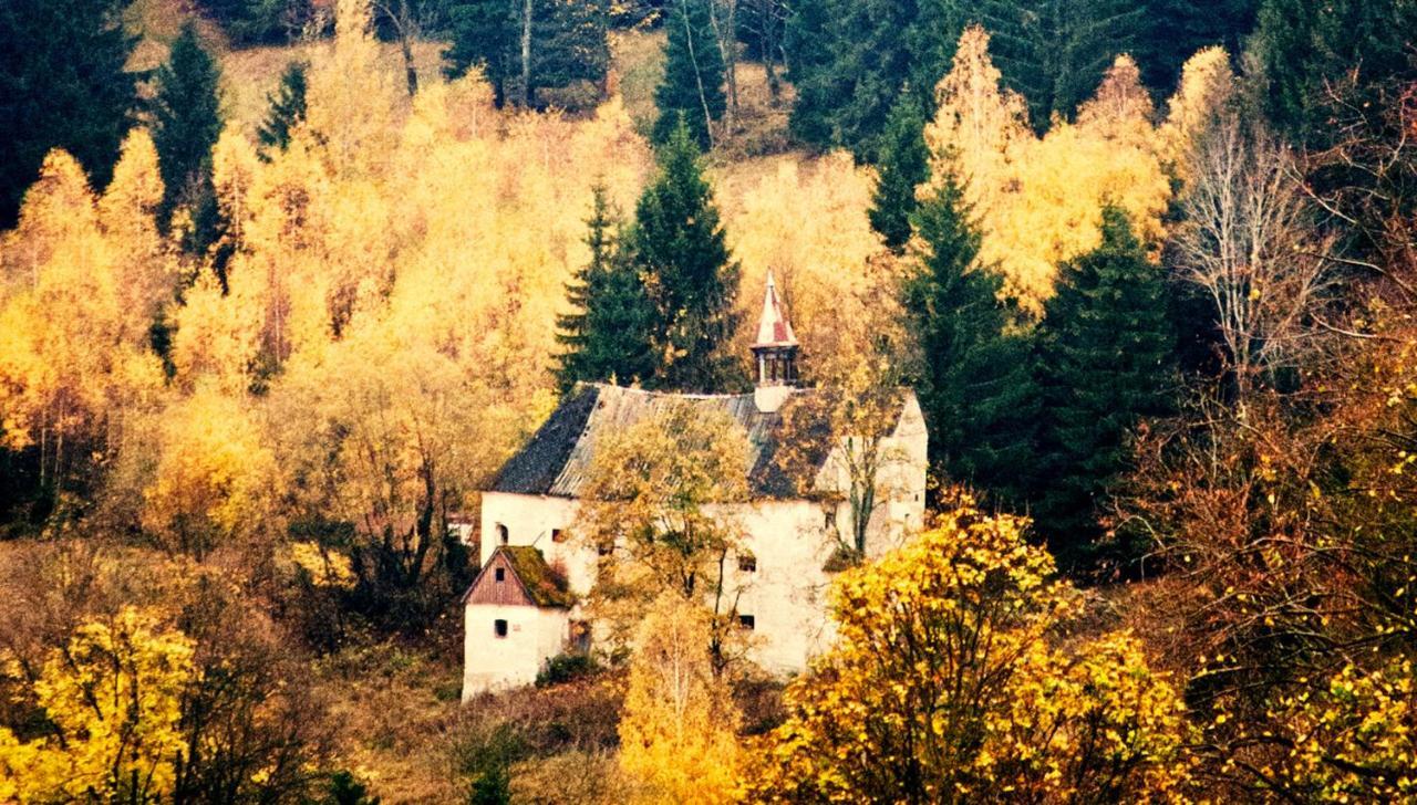 Hotel Gorski Czarna Gora Stronie Śląskie Екстериор снимка